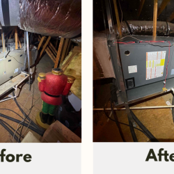 Before After 2