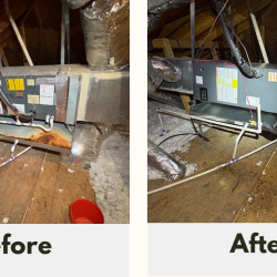 Before after 4