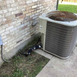 existing condenser landscape