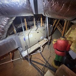 existing indoor landscape