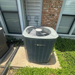 existing outdoor landscape 1