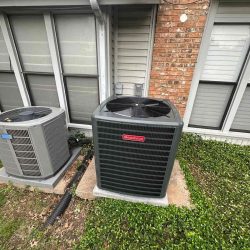 new condenser landscape 2