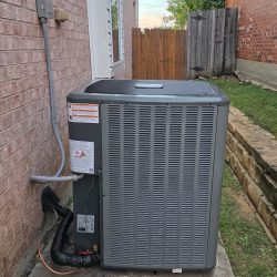 new condenser landscape