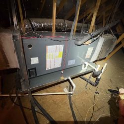 new indoor landscape